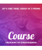 Joy's Vibe Tribe: Unlocking 5D Consciousness (20% Discount for group of 3)